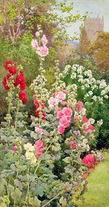 De tuin